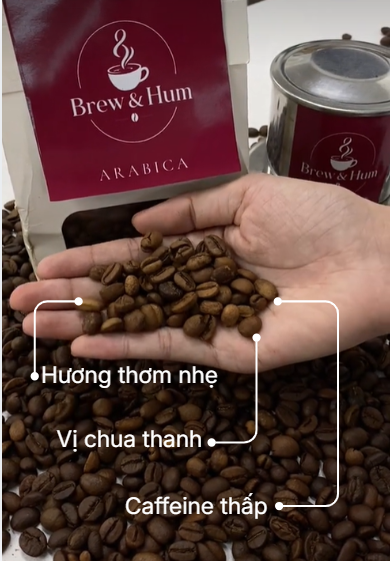 Đặc điểm của Arabica